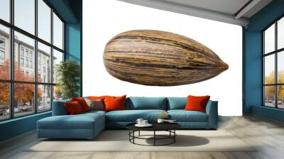 A seed with a brown and black striped shell Wall mural