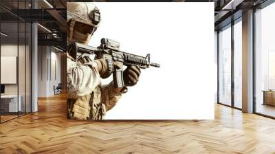 A soldier is holding a rifle and wearing a camouflage uniform Wall mural