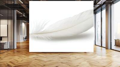 A white feather is shown on a white background Wall mural