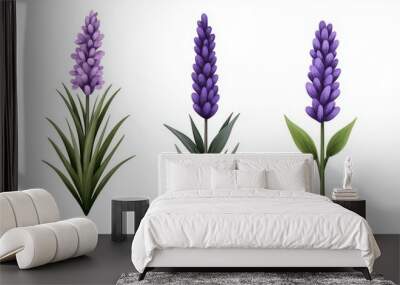 Three purple flowers are shown in a row Wall mural