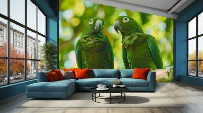 Two green parrots are perched on a branch, looking at the camera Wall mural