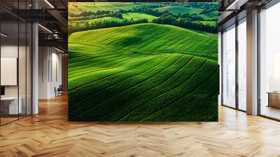 A green organic crop field Wall mural