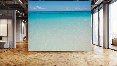 blue sky with sea and beach Wall mural