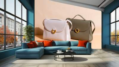 woman leather fashion bag Wall mural