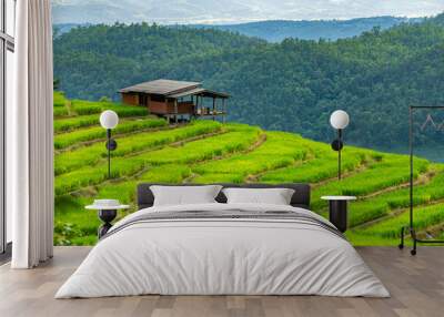 Rice terraces, rainy season in Chiang Mai Province, Thailand Wall mural