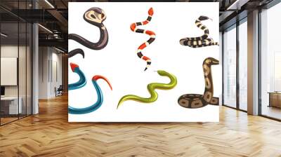 Collection of Snakes, Poisonous and Non Toxic Snake Creatures of Different Colors Vector Illustration Wall mural