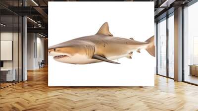 Sand tiger shark Carcharias taurus, Transparent background. generative AI Wall mural