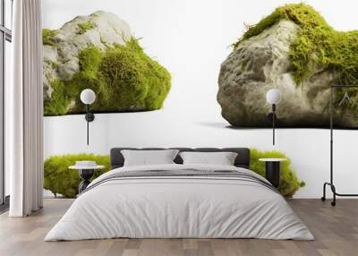 mossy rocks, collection of overgrown stones isolated, png file, generative ai Wall mural