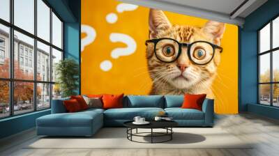 Curious and perplexed cat has a lot of questions, confused cat student, study learning education concept. Wall mural