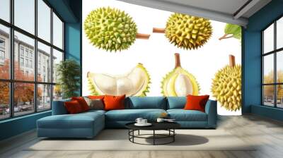 Set of durians tropical fruit illustration on white background. Wall mural