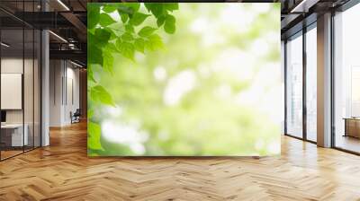 Concept nature view of green leaf on blurred greenery background in garden and sunlight with copy space using as background natural green plants landscape, ecology, fresh wallpaper concept. Wall mural