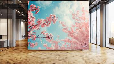 blossoming cherry trees stock photo white background in 772537e2-79b2-4796-bb3d-12fc01d50f9d Wall mural