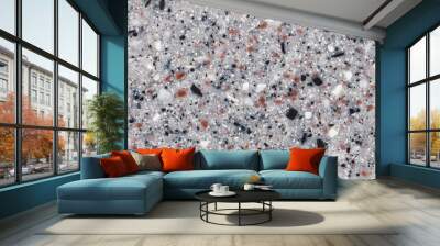 Gray granite texture Wall mural