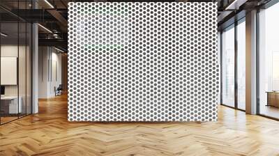 Steel mesh screen pattern and seamless background Wall mural