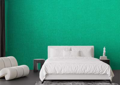 Vintage green cloth texture and seamless background Wall mural