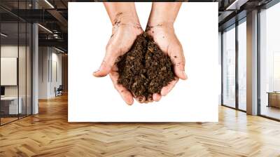 close up hand holding soil peat moss on isolated with clipping p Wall mural