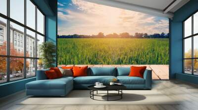 Rice field and wood table background with space display for prod Wall mural