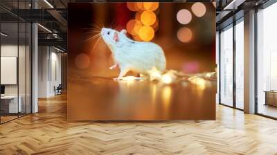 A funny white rat runs on the floor near the festive garlands, amid bright lights. Gifts. Symbol of 2020 Wall mural