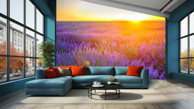 lavender field on a sunset Wall mural