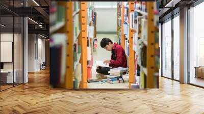 Students Asian read the book at the library Wall mural