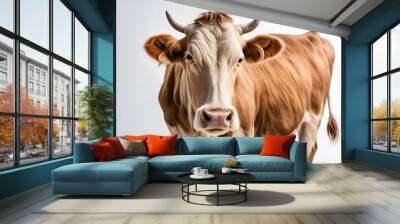 A beautiful cow with a soft sandy coat and a white face standing on a white background, AI Generated Wall mural