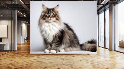 A fluffy norwegian forest cat with a bushy tail and bright green eyes sitting elegantly on a white background, AI Generated Wall mural