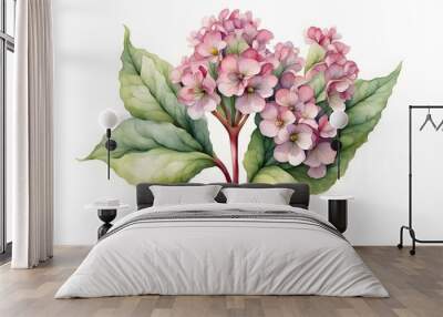 Watercolor heartleaf bergenia flower on white background, AI Generated Wall mural