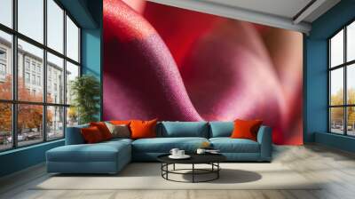 Soft Pink Silk Wall mural