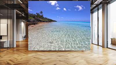 Tropical paradise on the Bermuda islands Wall mural