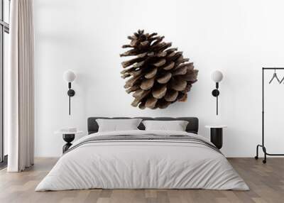 pine cone cutout, png file. Wall mural