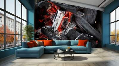 burning firewood in the fireplace Wall mural