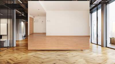 Empty living room of an apartment with wooden floors, white aluminum radiators, freshly painted walls in plain white color and access door in beech wood color Wall mural