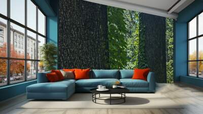 Tree trunks can be used for furniture, paper, construction and other uses 2 Wall mural