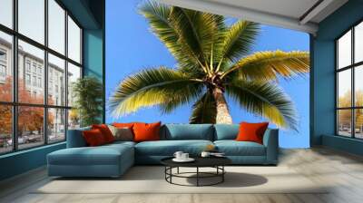 coconut tree with blue sky background   Wall mural