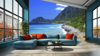 Taiwan Hualien Fengbin Xinshe Coast Wall mural