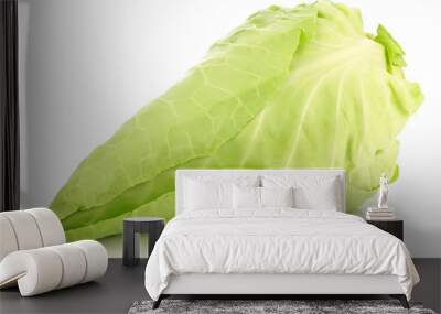 a fresh harvested green pointed cabbage on a white background Wall mural