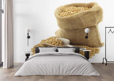 farro grain in a burlap bag with an aluminum scoop on a white ba Wall mural