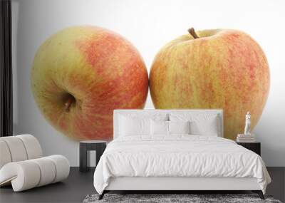 fresh Dutch cooking apples on a white background Wall mural