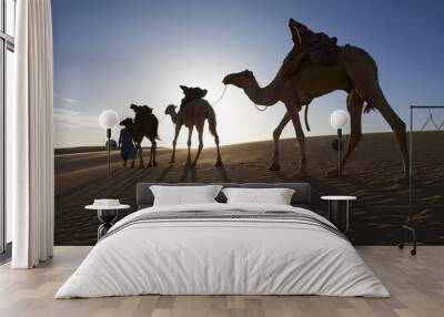 camels in desert Wall mural