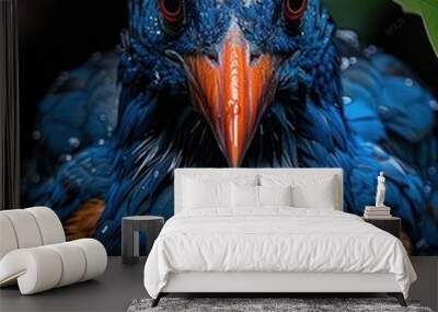 A blue bird with orange beak stares intensely at the camera. Wall mural