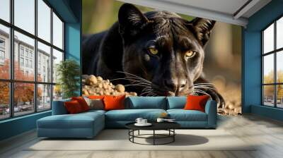 black panther portrait Wall mural