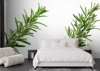 Close-up snapshot of a fresh green rosemary sprig, isolated on a white background for clipping Wall mural