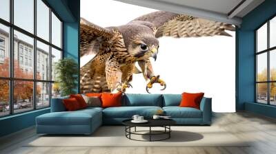 Falcon in mid-dive aiming for a small animal on the ground, white background for clipping Wall mural