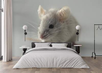 A small gray mouse is standing on a white surface Wall mural