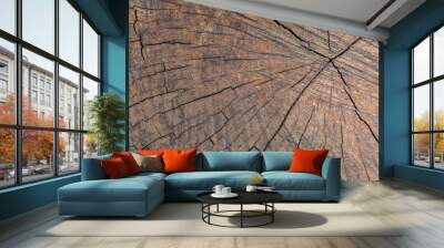 Wodden texture Wall mural