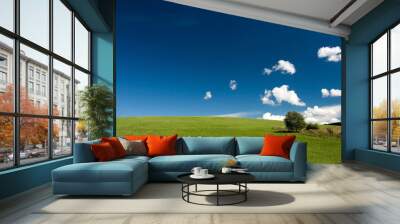 summer abstract landscape Wall mural