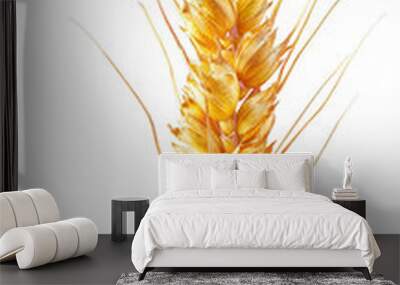 Spikelet of wheat isolated on transparent background. PNG Wall mural