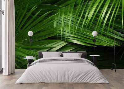 tropical palm leaves, jungle leaf background Wall mural