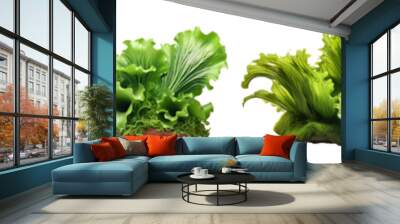 collection of green aquatic algae moss plants isolated on a transparent background.	
 Wall mural