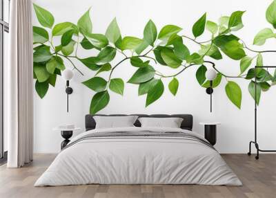 tropical vine hanging ivy plant, bush, or grapes ivy frame with border with copy space for text and branches, isolated on a transparent background. PNG cutout or clipping path. Wall mural